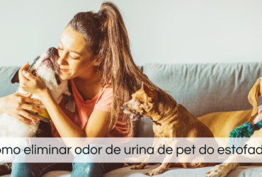 BOG 4 IMAGEM